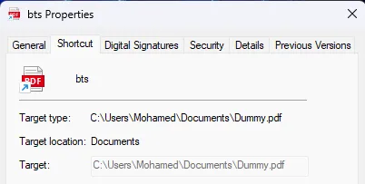 Properties dialog showing the decoy path